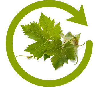 ecologico_icono